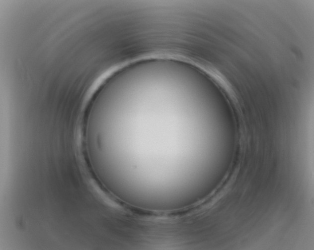 X0000114630896200910201019