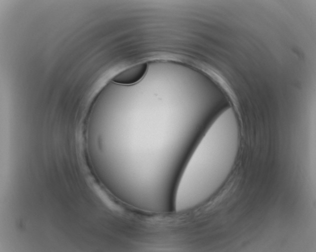 X0000114630898200910201019