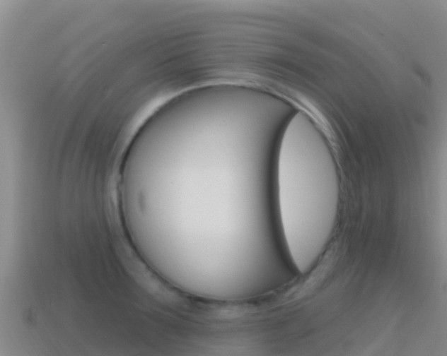 X0000114630899200910201019