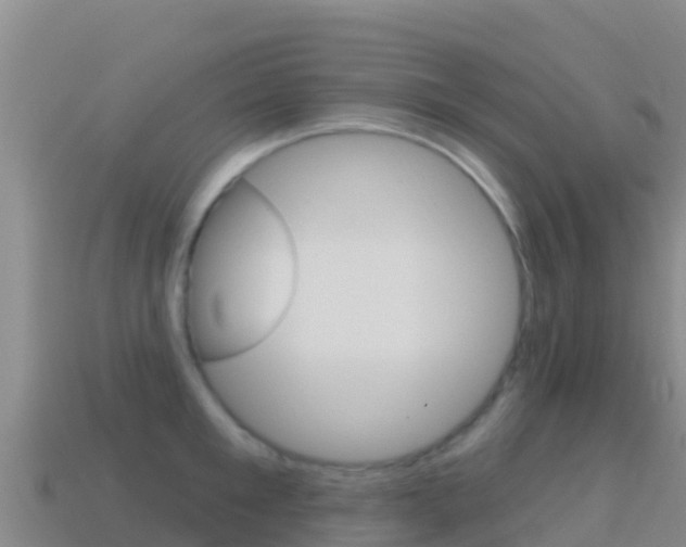X0000114630901200910201019