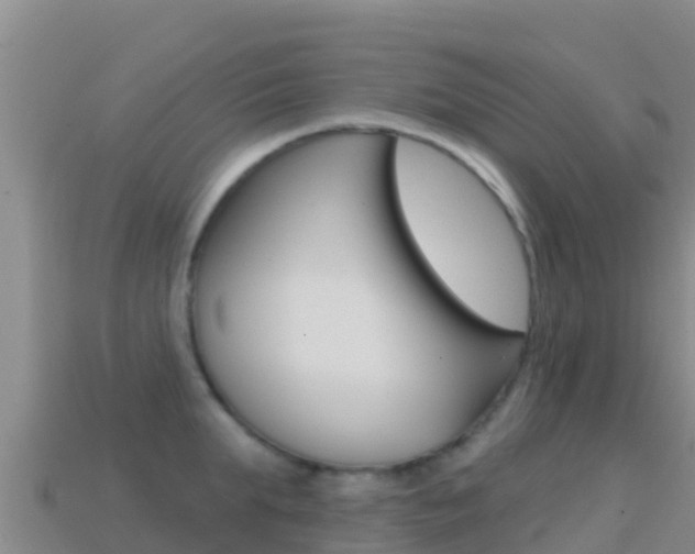 X0000114630903200910201019