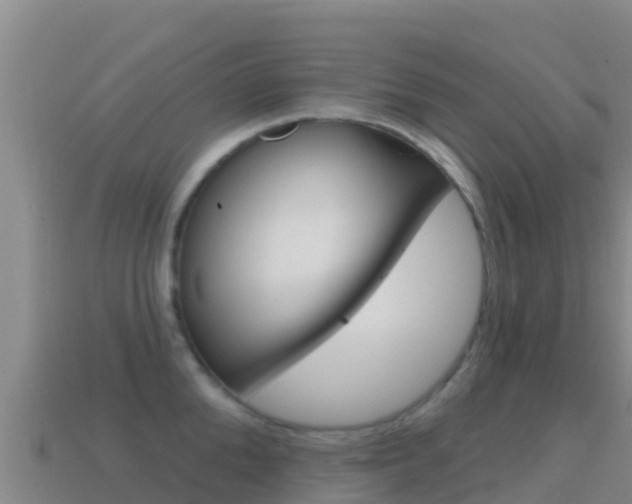 X0000114630904200910201019