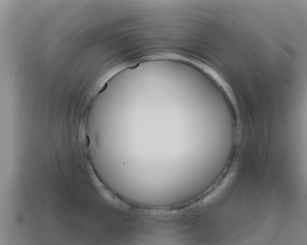 X0000114630905200910201019