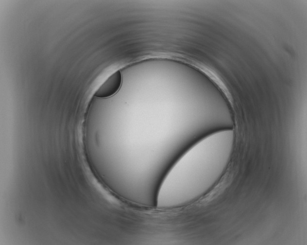 X0000114630906200910201019