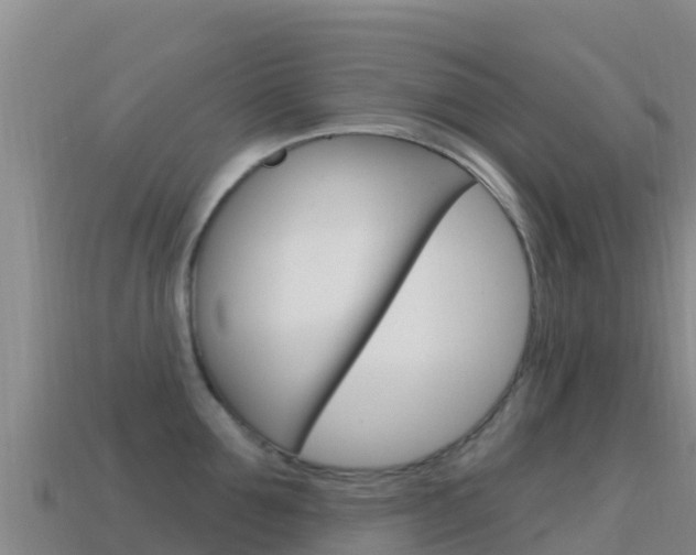 X0000114630907200910201019