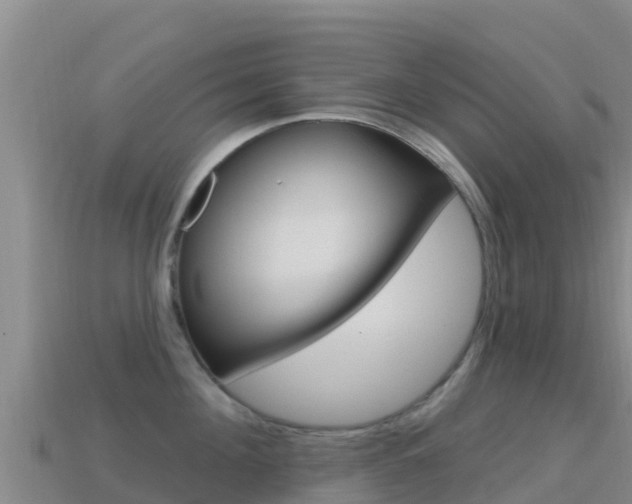 X0000114630908200910201019