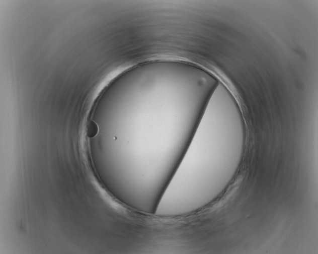 X0000114630909200910201019