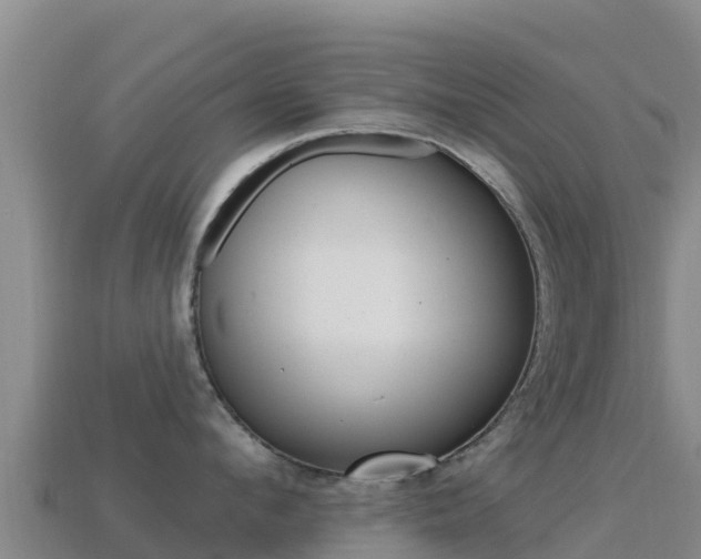X0000114630912200910201019