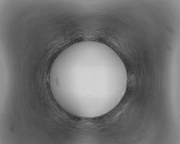 X0000114630913200910201018