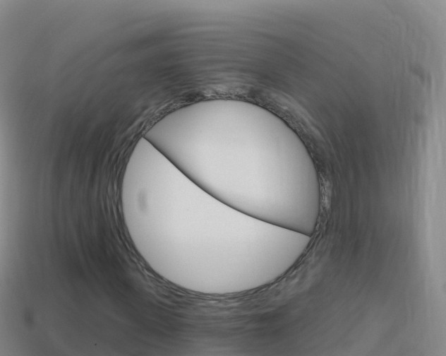 X0000114630915200910201019