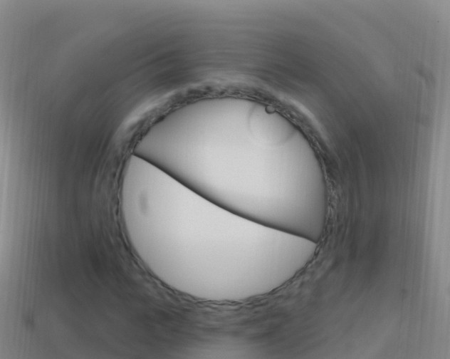 X0000114630919200910201019