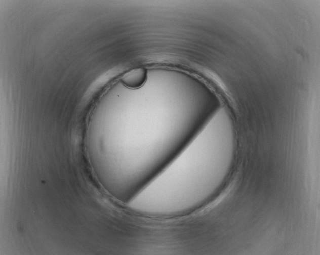 X0000114630922200910201019