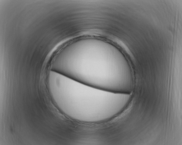 X0000114630923200910201019