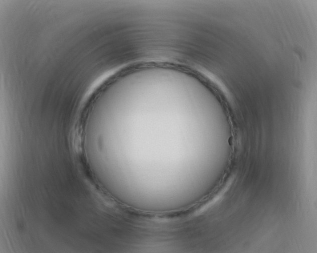 X0000114630925200910201019