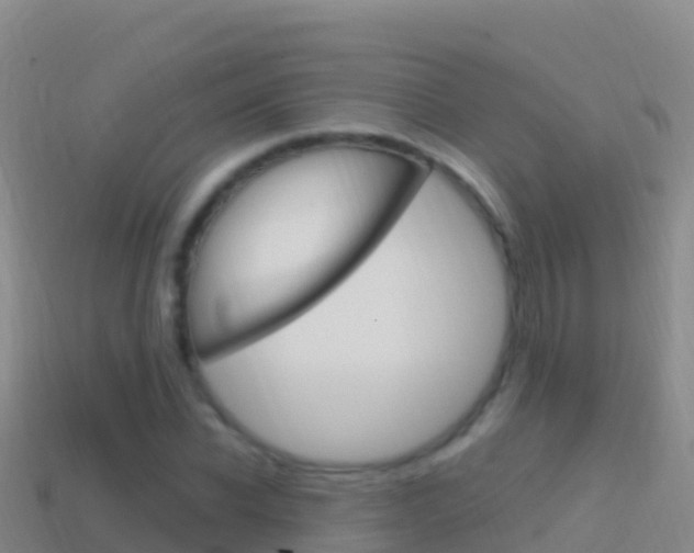 X0000114630926200910201019