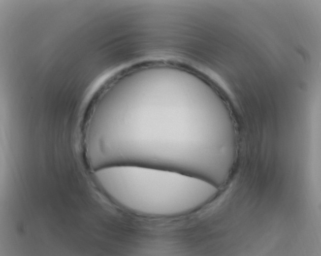 X0000114630927200910201019