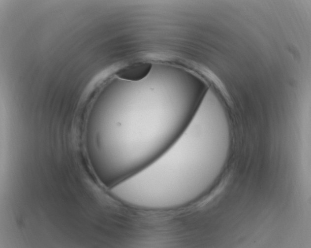 X0000114630930200910201019