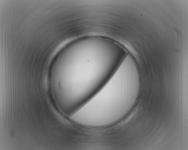 X0000114630934200910201019