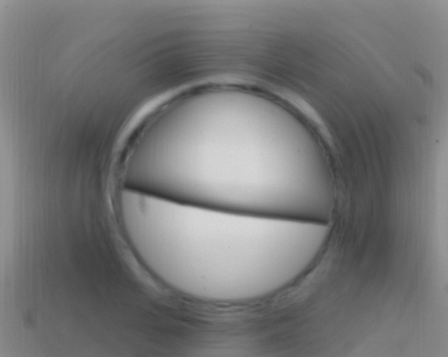 X0000114630935200910201019