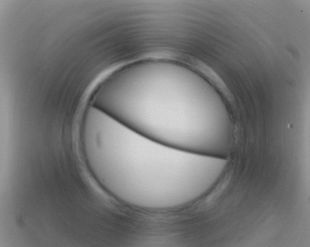 X0000114630939200910201019