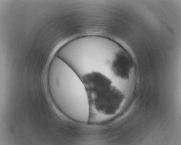 X0000114630941200910201019