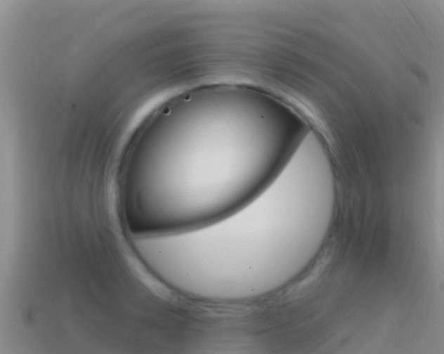 X0000114630942200910201019