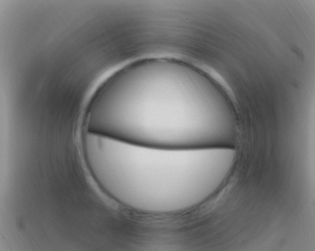 X0000114630943200910201019