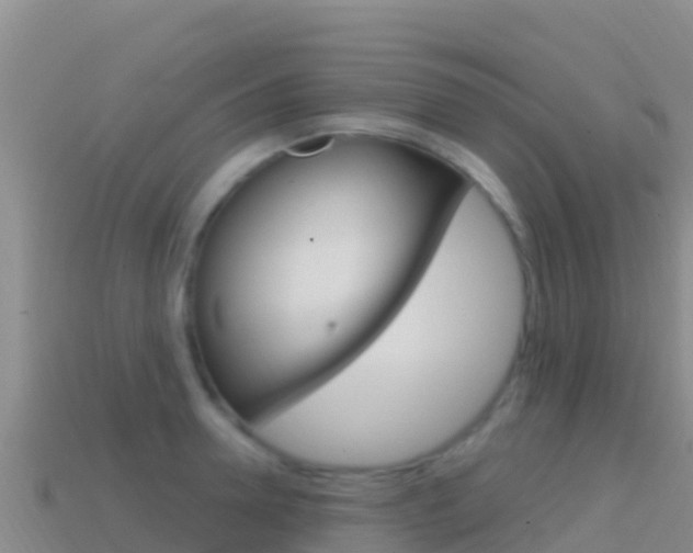 X0000114630946200910201019