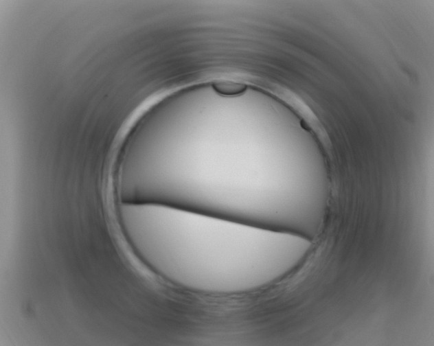 X0000114630947200910201019