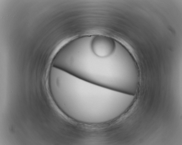 X0000114630949200910201019