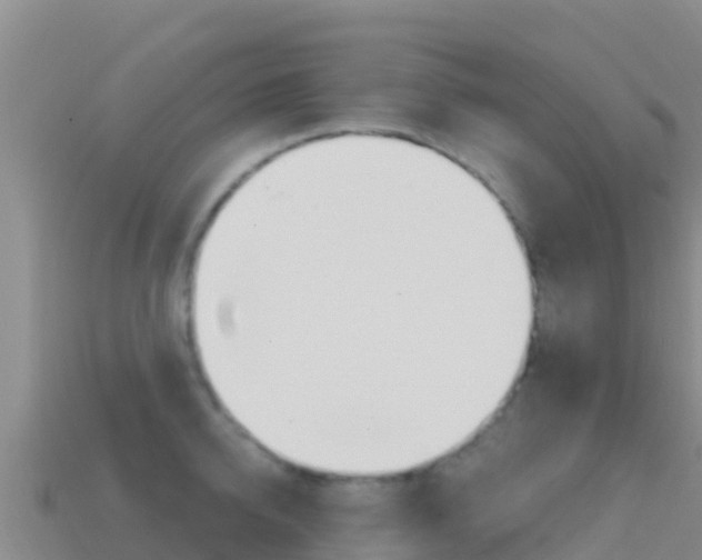 X0000114630950200910201019