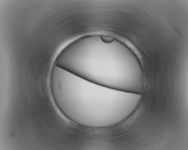 X0000114630951200910201019
