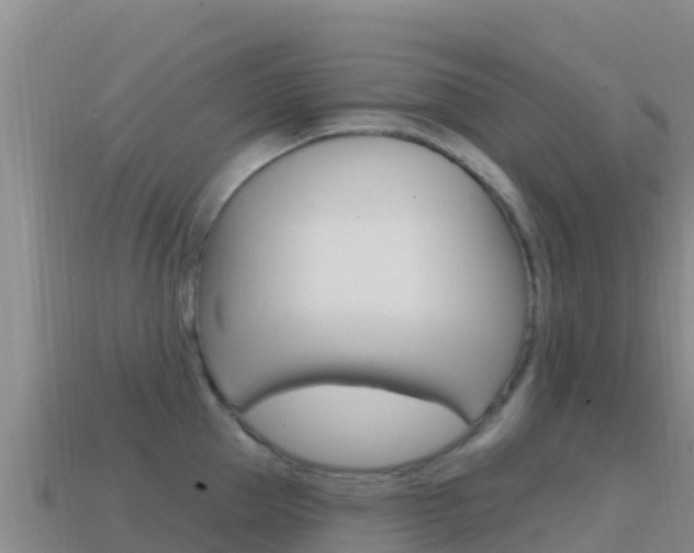X0000114630953200910201019