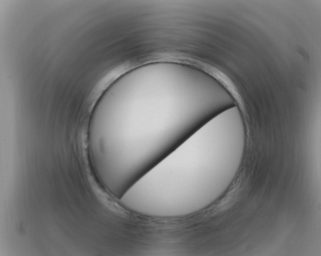 X0000114630954200910201019