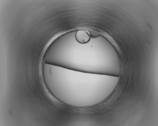 X0000114630955200910201019
