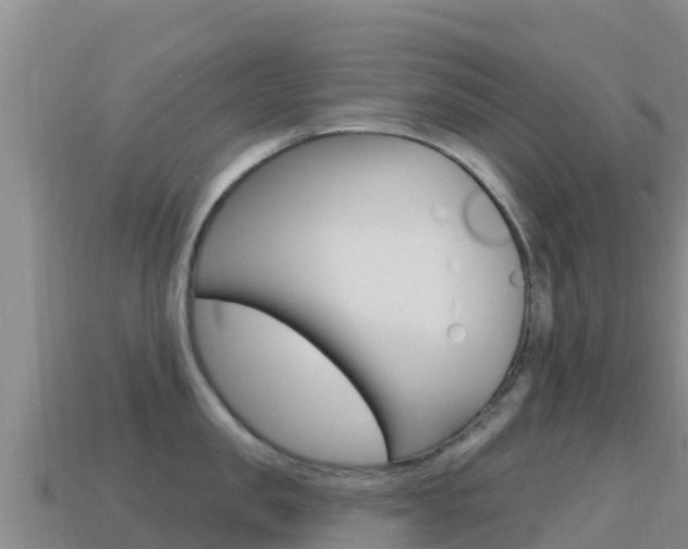 X0000114630957200910201019
