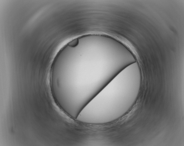 X0000114630958200910201019