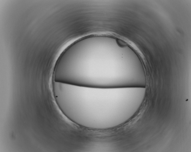 X0000114630959200910201019