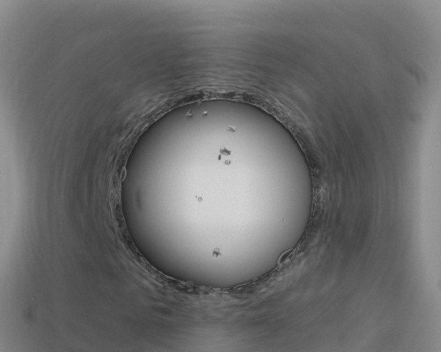X0000114630961200910201018