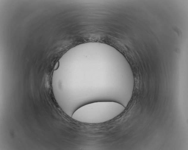 X0000114630962200910201018