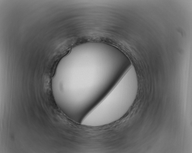 X0000114630964200910201018