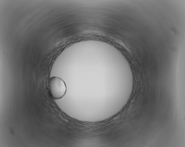X0000114630965200910201018