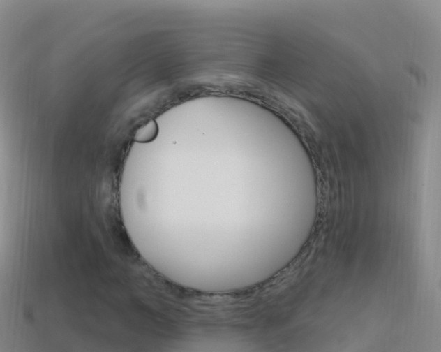 X0000114630966200910201018