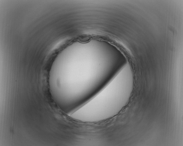 X0000114630968200910201018