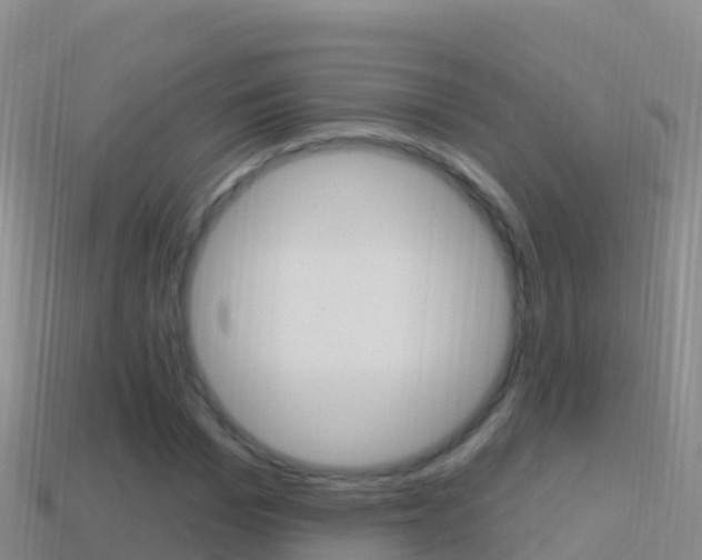 X0000114630969200910201018
