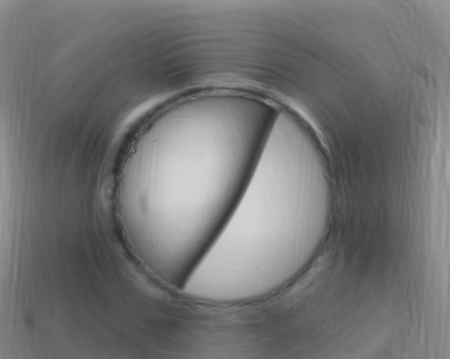 X0000114630971200910201018