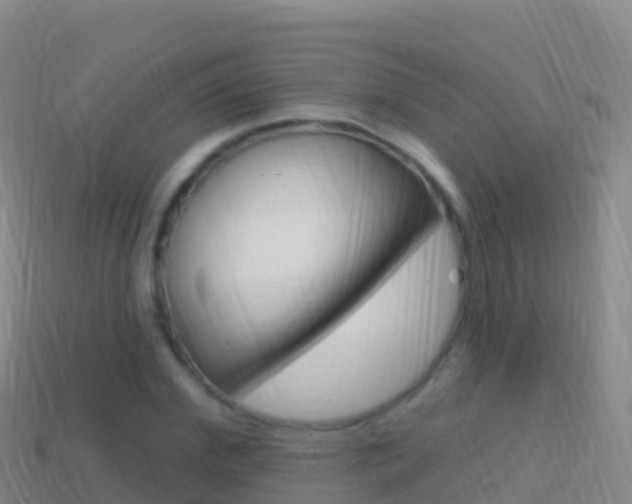 X0000114630972200910201018