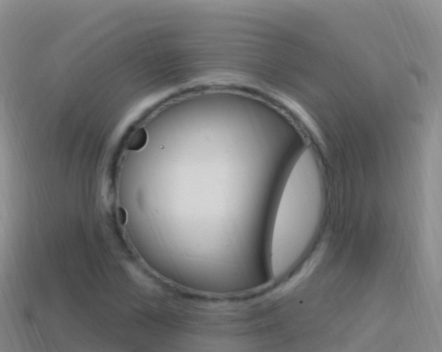X0000114630973200910201018