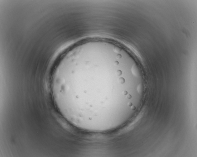 X0000114630974200910201018