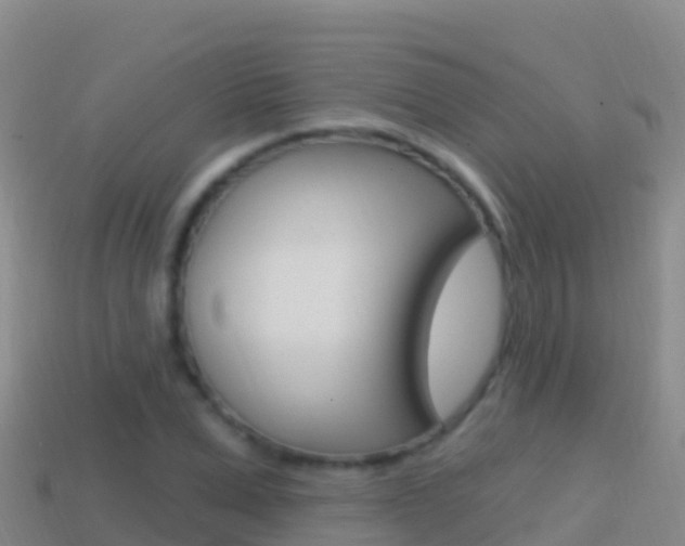 X0000114630975200910201018